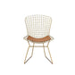 ACME Achellia Side Chair (Set-2), Whiskey PU & Gold