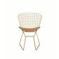 ACME Achellia Side Chair (Set-2), Whiskey PU & Gold