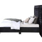 Damazy Queen Bed, Black Velvet