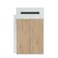 Nerice Twin Loft Bed, White & Oak