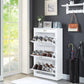 Pagan Shoe Cabinet