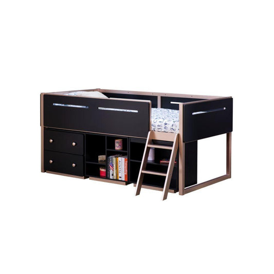 ACME Prescott Bookshelf (2 Compartments), Black & Rose-Gold