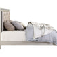 ACME Sliverfluff California King Bed, PU & Champagne Finish