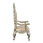 ACME Sorina Arm Chair (Set-2), PU & Antique Gold Finish