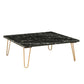 ACME Telestis Coffee Table, Black Marble & Gold