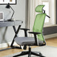 ACME Umika Office Chair, Green & Gray Fabric