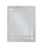 ACME Varian Mirror, Silver & Mirrored Finish