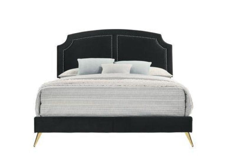 ACME Zeena Eastern King Bed, Black Velvet