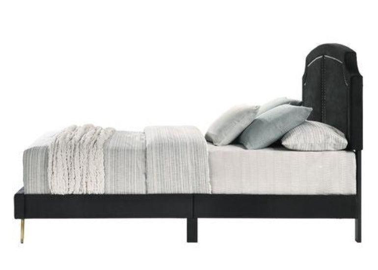 ACME Zeena Eastern King Bed, Black Velvet