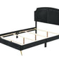 ACME Zeena Eastern King Bed, Black Velvet