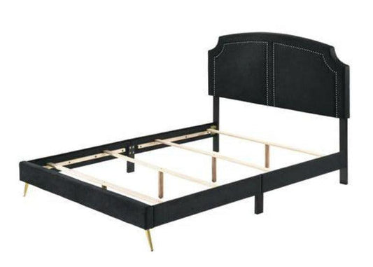 ACME Zeena Eastern King Bed, Black Velvet