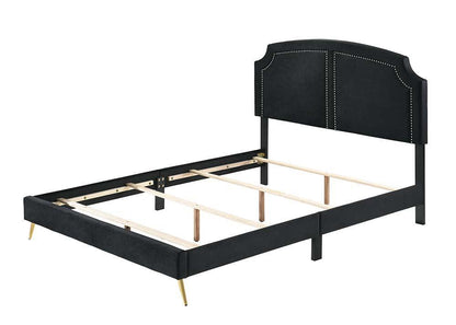 ACME Zeena Queen Bed, Black Velvet