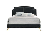 ACME Zeena Queen Bed, Black Velvet