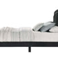 ACME Zeena Queen Bed, Black Velvet