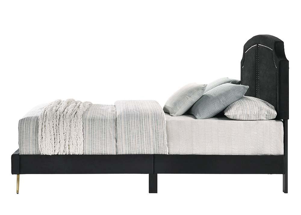 ACME Zeena Queen Bed, Black Velvet