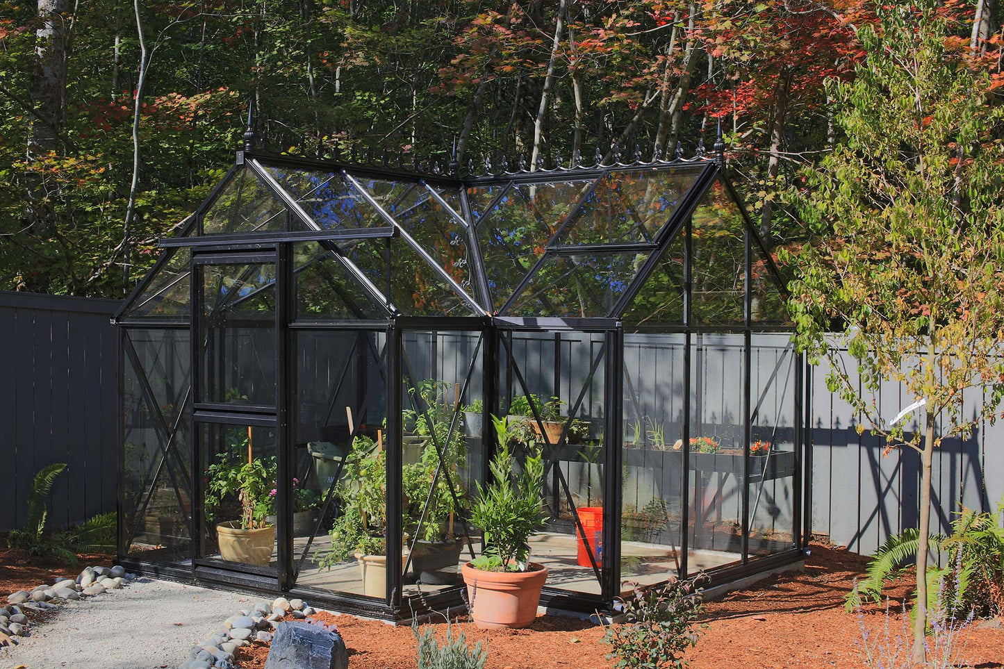 Junior Orangerie Greenhouse by Exaco