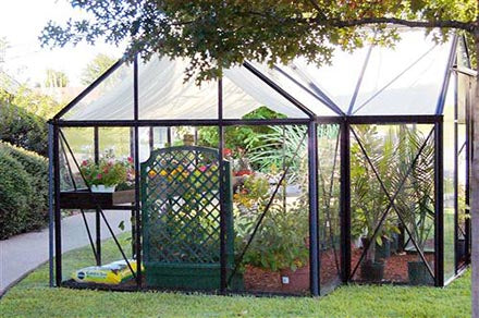 Junior Orangerie Greenhouse by Exaco